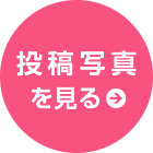 投稿写真を見る